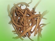 dried julienned burdock root
