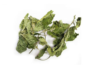 peppermint leaf tea wholesale