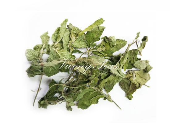 peppermint leaf tea