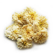 tribute white chrysanthemum flower herbal tea wholesale