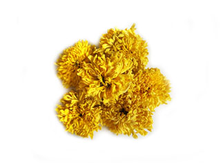 Yellow Chrysanthemum Flower Tea Wholesale