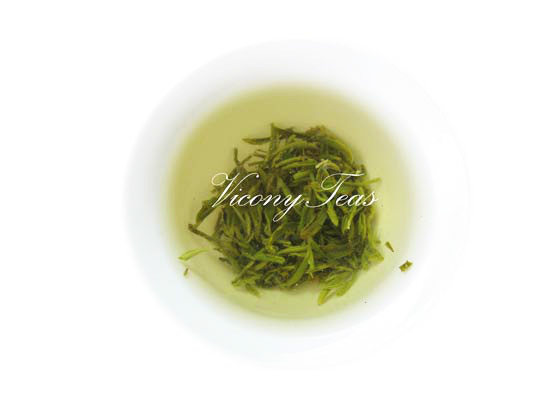 Bi Luo Chun Tea Special Grade infusion