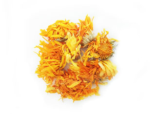 Calendula Pot Marigold Chrysanthemum flower tea wholesale