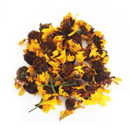 Kunlun Snow Chrysanthemum flower tea wholesale