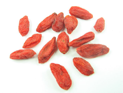 goji berry-wolfberry