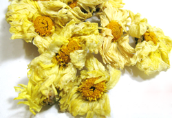 hangju- hang zhou white chrysanthemum tea