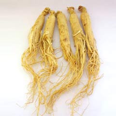 What are some health benefits of ginseng tea?
