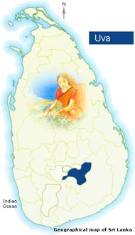 Uva Location