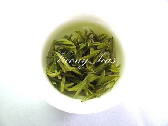 Mao Feng Green Tea Infusion