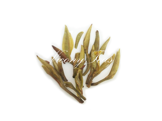 brewed silver needle white tea leaves