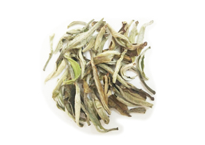 Wholesale silver needle white tea