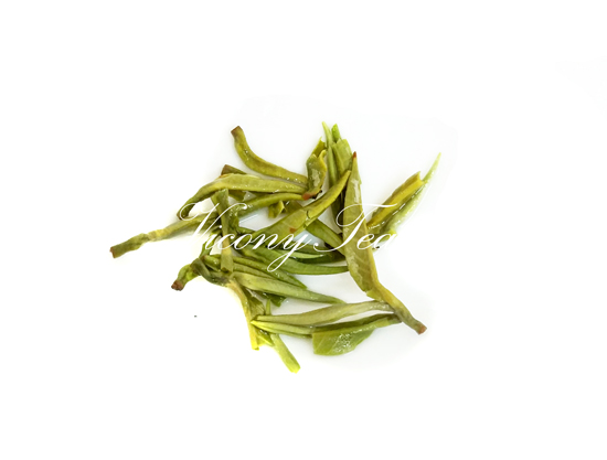 Snow Bud Tea Xue Ya Green Tea Brewed Leaves