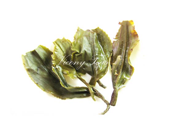 wild Purple Bud Ancient Arbor Loose Leaf Raw Puerh Tea Brewed