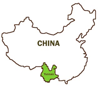 the location of yunnan