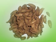 dried sliced burdock root