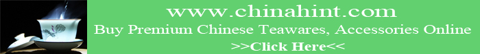 chinahint.com