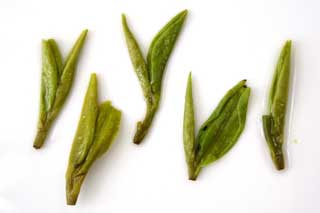 brewed tea leaves of longjing tea 