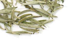 yin zhen white tea