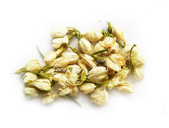 jasmine bud tea