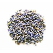 Lavender herbal tea wholesale