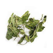 peppermint leaf herbal tea wholesale