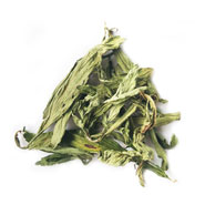 sweet stevia herbal tea wholesale
