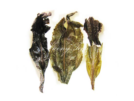 Wuyi Water Fairy Oolong Tea Brewed Leaves