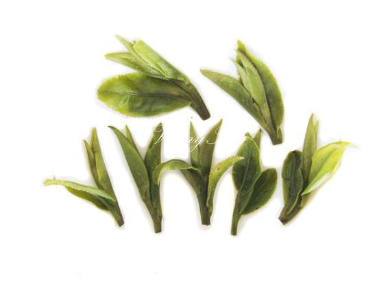 Xihu Longjing Tea | West Lake Dragon Well Tea Brewed