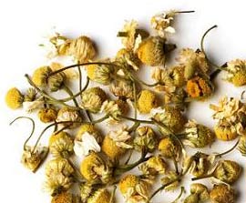 chamomile flowers tea