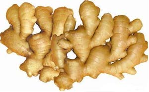 ginger root