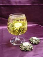 Green tea flowers Venus with chrysanthemum flowers