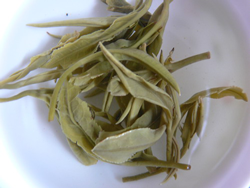 brewed tea leaves of huo qing tea