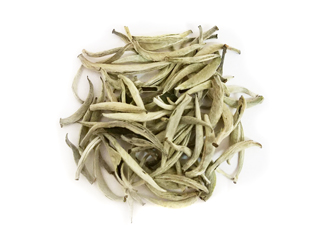 Guangxi Silver Needle White Tea