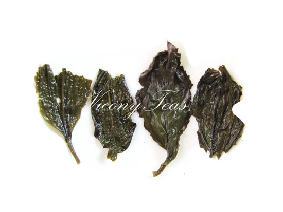 Jin Xuan Oolong Tea Brewed