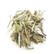 Silver Needle White Tea Wholesale