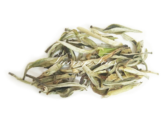 buy silver needle white tea | bai hao yin zhen