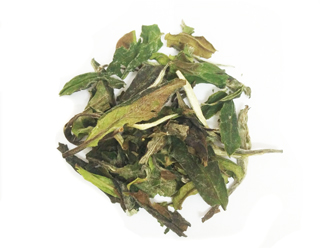 white peony tea wholesale