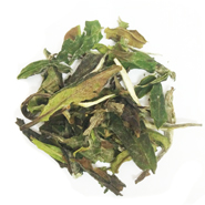 White Peony White Tea 1st Grade Wholesale