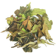 white peony white tea wholesale