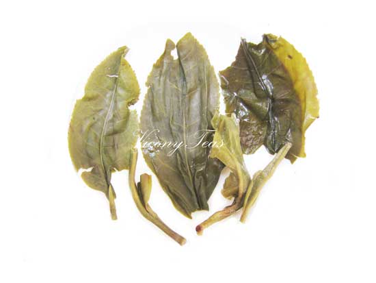 Premium Raw Pu Erh Tea Cake Bing Dao Brewed Pu Erh