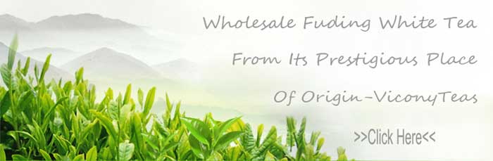 Fuding White Tea Wholesale